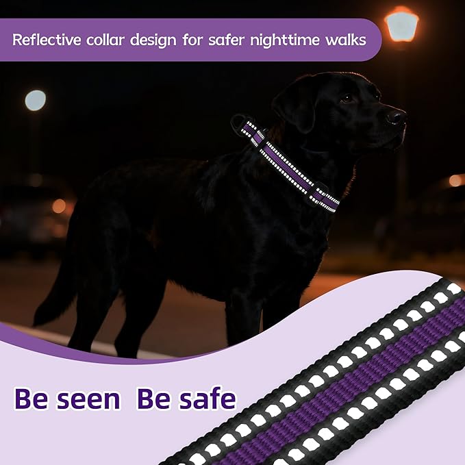 Martingale Collar for Dogs Reflective Collar with Quick Release Buckle, Adjustable Nylon Collars for No Slip Dog Collar, Purple, M
