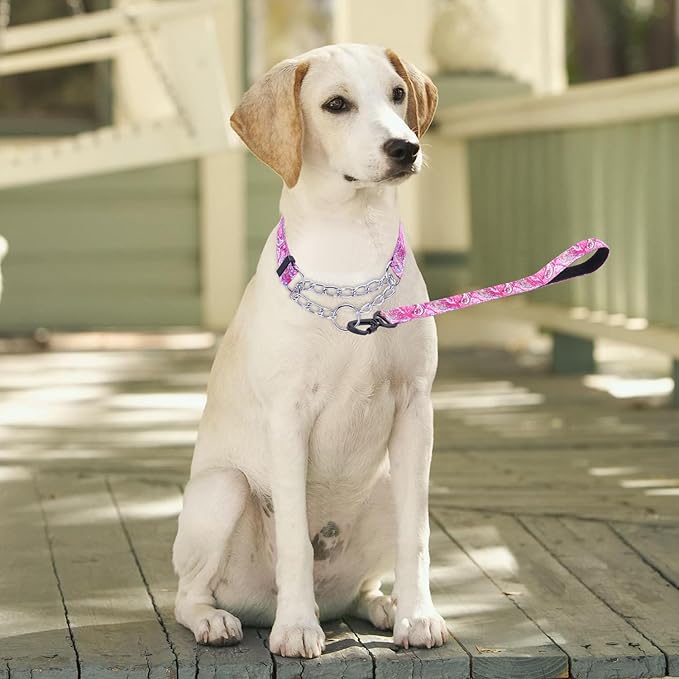 Martingale Dog Collar with Stainless Steel Chain - Limited Chain Cinch Training Collar for No Pull Training Dog - Flower Multicolor Cute Patterns - Premium No Slip Collar (M, Pink Set)