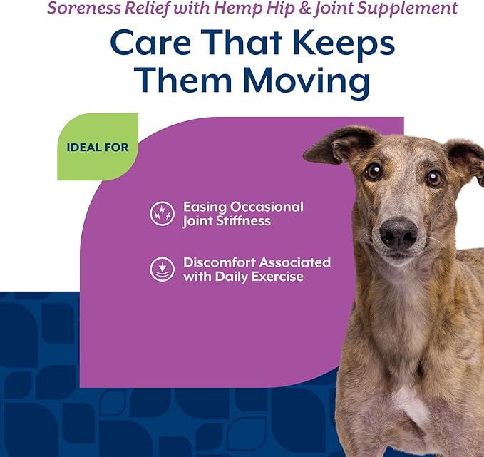 NaturVet Hemp Aches & Discomfort Plus Hemp Seed for Dogs, 60 ct Soft Chews, Made in The USA