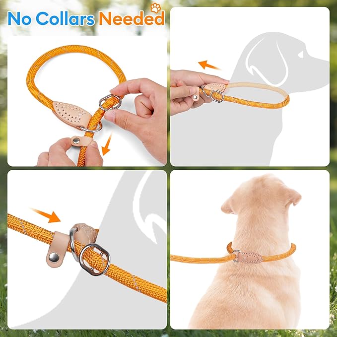 Grand Line Slip Lead Dog Leash - No Pull Training Dog Lead with 5ft Reflective Rope, Durable & Collar-Free for Small, Medium, Large Dogs and Puppies (Pink,S)
