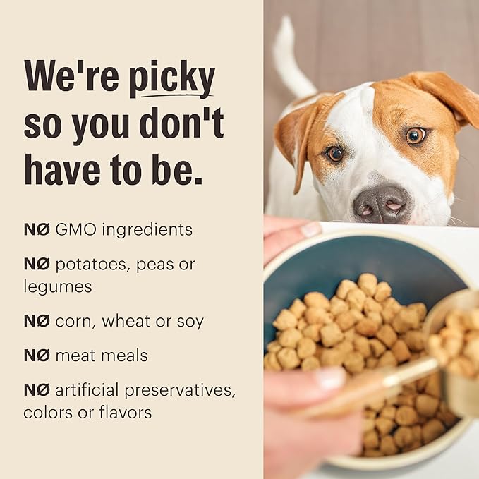The Honest Kitchen Human Grade Dry Dog Food, Whole Food Clusters Whole Grain Dry Dog Food, Chicken & Oat, 20 lb Bag