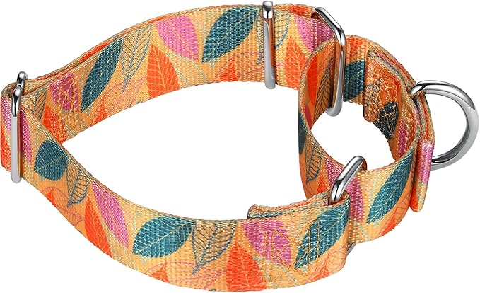 Mikivery Martingale Collar for Dogs 1 inch Sturdy Durable Collars Medium and Large Breed for Walking Training Outdoor Daily Use