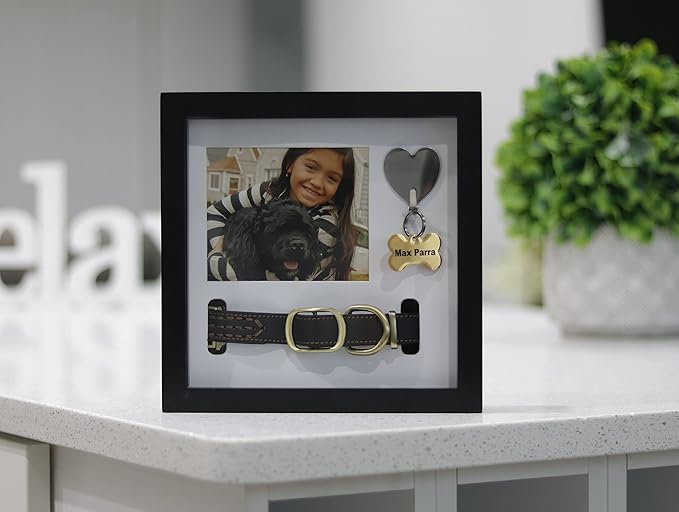 Daily Power-tivity Pet Memorial Picture Frame Shadow Box - Dog Gift Keepsake wCollar Mount and Heart Hook Forever In Memory, Remembrance Show Sympathy For Your BONUS TWO Mattes to choose from, Black