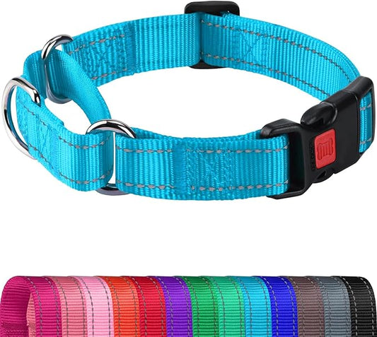 Joytale Martingale Collar for Dogs, Reflective Heavy Duty for Safety, Quick Release Buckle, Adjustable Nylon Collars for Large Dogs Walking Training, Sky Blue,L