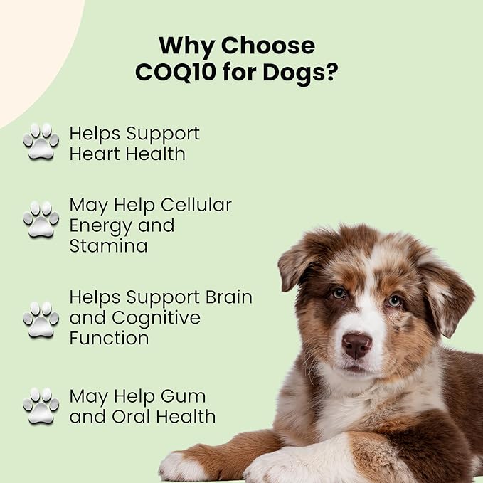 CoQ10 for Dogs - Coenzyme Q10 for Dogs - Heart, Joint & Cardiovascular Support - Dog Heart Supplements - Dog Hip & Joint Care - 1 fl oz