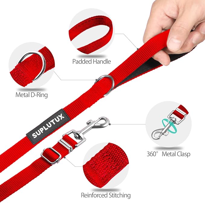 Long Leash for Dogs Outside - 10FT, 16FT, 30FT, 50FT Training Leash with Storage Pouch, for Small, Medium, Large Dogs, Ideal for Obedience Recall Training and Camping