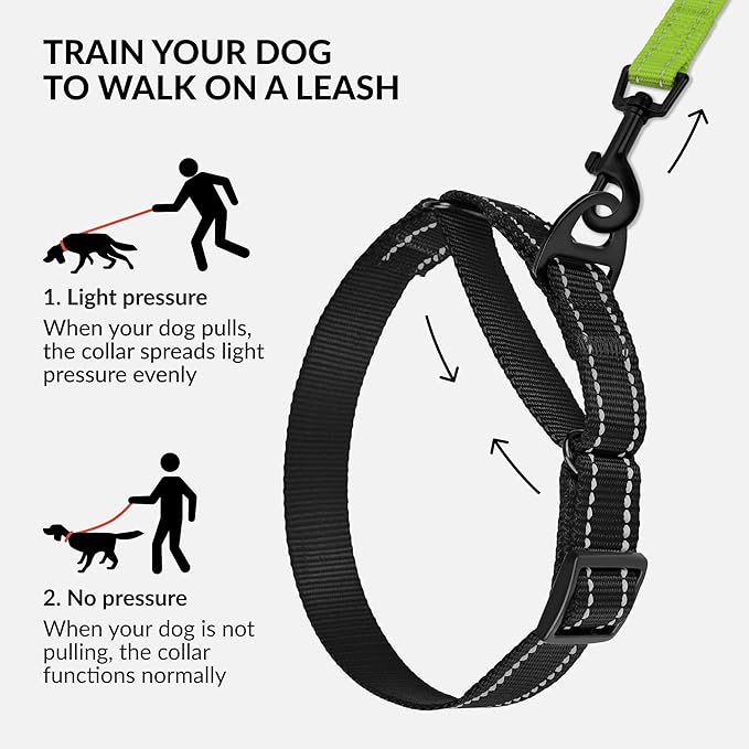 Collardirect Reflective Martingale Dog Collar Nylon Training Collars for Small Medium Large Dogs Puppy Pink Orange Green (L, Neck Size 16"-24", Black)