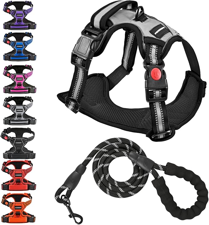 No Pull Dog Harness with A Free Heavy Duty 5ft Dog Leash, Adjustable Soft Padded Dog Vest, Reflective No-Choke Pet Oxford Vest with Easy Control Handle and Dog Leash for Dogs (Grey, X-Large)
