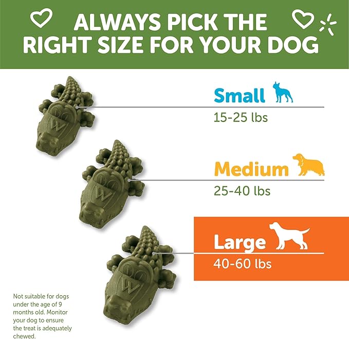 Whimzees Wellness Alligator Dog Dental Treats, Large Size, (6 Count)