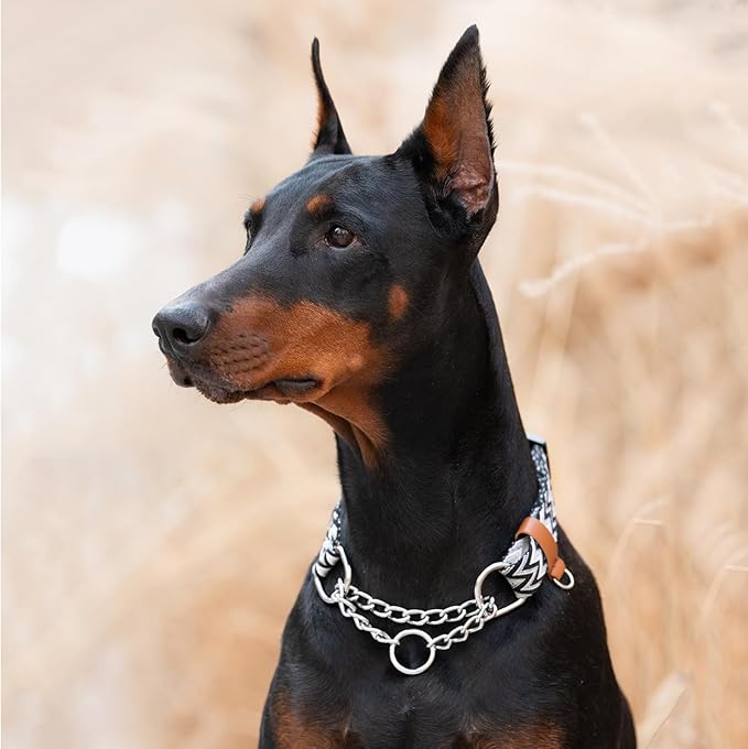 ANDA Martingale Collar for Dogs, Adjustable with Reflective Stainless Steel Chain, No-Pull Escape-Proof Training Collar for Medium and Large Breeds (Chevron Black Chain Style, Medium)