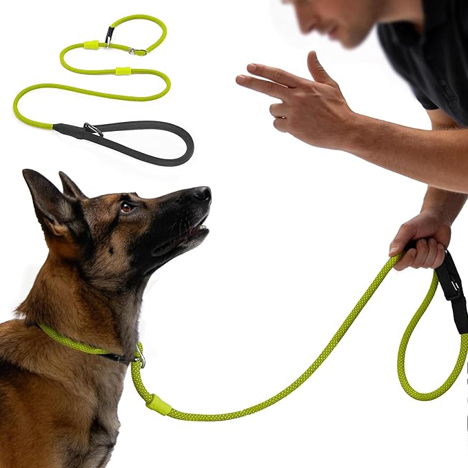 BeauGo|Slip Leads for Dogs, 2-in-1 Dog Training Rope and Collar,Sturdy and Durable,Suitable for All Dogs Training Leash (6FT Dark Green)