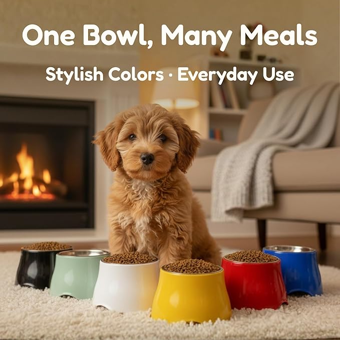 Elevated Spaniel Dog Bowl, Melamine Raised Dog Food Bowl for Long-Eared Dogs, Raised Dog Bowls for Small & Medium Dogs, Stainless Steel Inner Bowl, Non-Slip Base (White, M (420 ML / 1.5 Cups))