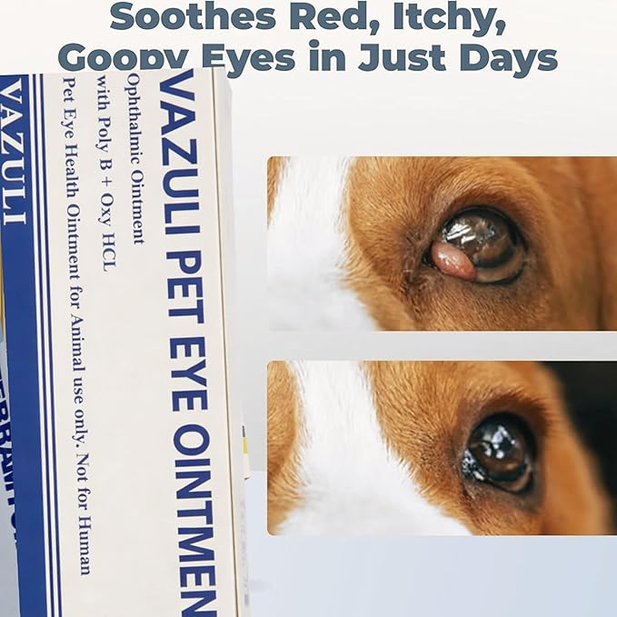 Pet Eye Cream for Dogs, Cats, Cattle, Sheep, Horses, Birds and Puppies, Kittens - 1 Pack