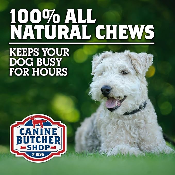 Pig Ears Strips for Dogs Made in USA, Sourced in USA Pig Ears Slivers, Natural, Small-Medium-Large Dog Chew Treat (1 lb)