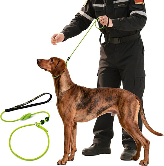 BeauGo|Slip Leads for Dogs|Professional Trainer Rope,Trainer Rope Designed for DogTraining and NGKC Competition,2-in-1Dog Lead & Collar,Suitable for All Dog Competition Training leashes(6FT Green)