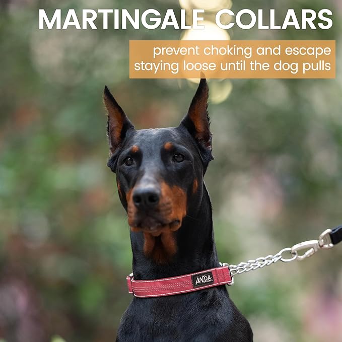 ANDA Martingale Collar for Dogs, Adjustable with Reflective Stainless Steel Chain, No-Pull Escape-Proof Training Collar for Medium and Large Breeds (Red, Medium)