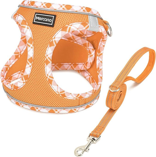 Mercano Soft Mesh Dog Harness and Leash Set, No-Chock Step-in Reflective Breathable Lightweight Easy Walk Vest Harnesses with Safety Buckle for Small Dogs, Cats (Orange, XS)