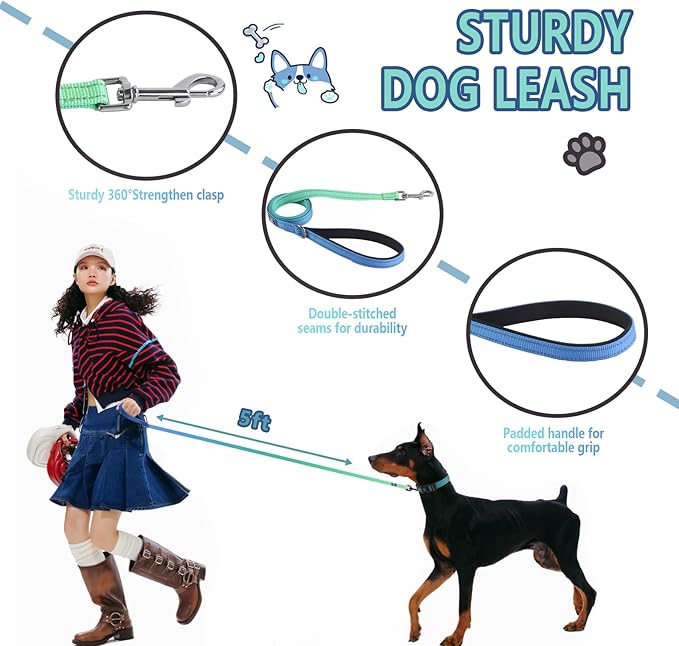 Roses&Poetry Bluegreen Small Dog Collar and Leash Set, Puppy Reflective Leashes with Collars, Adjustable Durable Matching Collar Leash for Small Dogs Girl (Bluegreen-S)