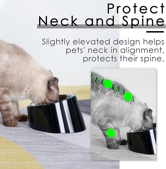 SuperDesign Mess Free 15° Slanted Bowl for Dogs and Cats, Tilted Angle Bulldog Bowl Dog Feeder, Non-Skid & Non-Spill, Easier to Reach Food L/2 Cup Dark Black