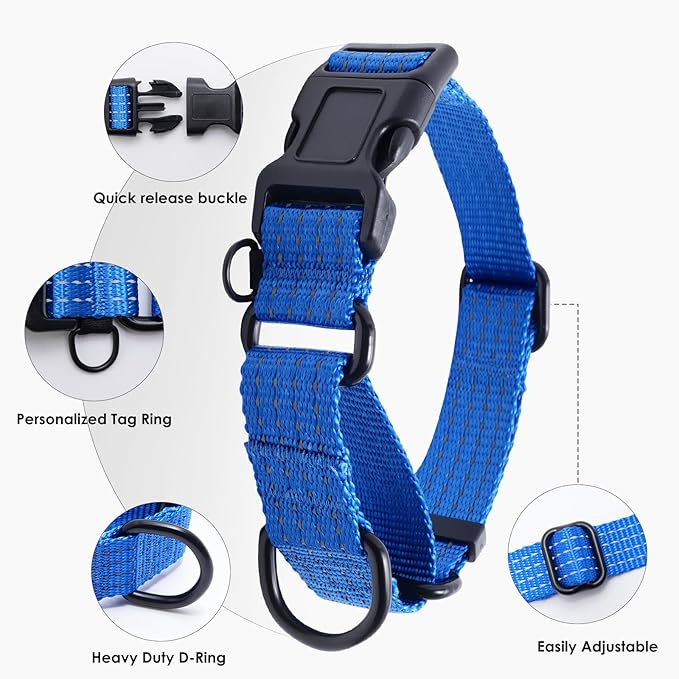 Martingale Collar for Dogs, Adjustable Soft Nylon Dog Collars with Special Design Cute Patterns (Blue, M (1" x 15.5"-19.5"))