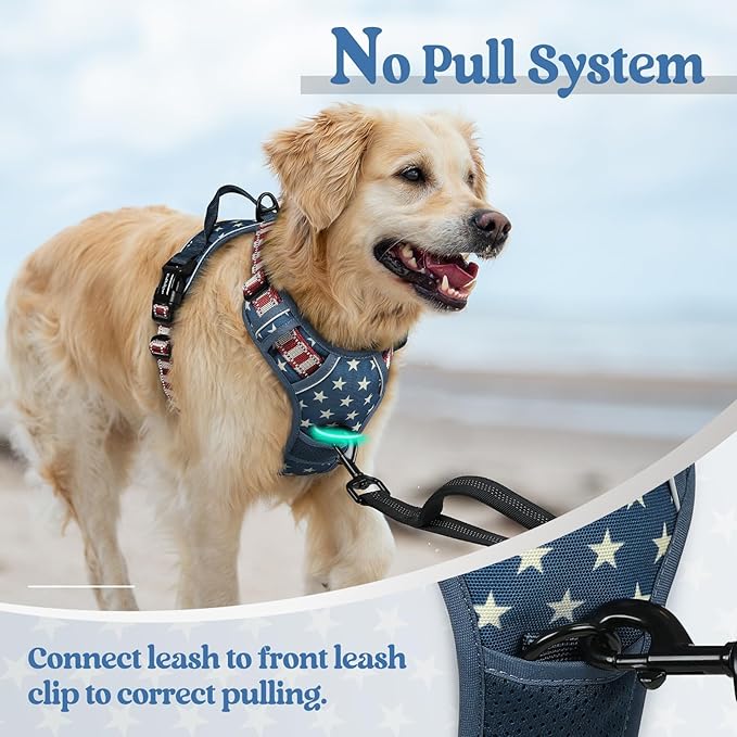 rabbitgoo Dog Harness No Pull with 2 Leash Clips, Adjustable Soft Padded, Reflective Oxford No Choke Pet Vest with Easy Control Handle for Large Dogs, Blue Star, S