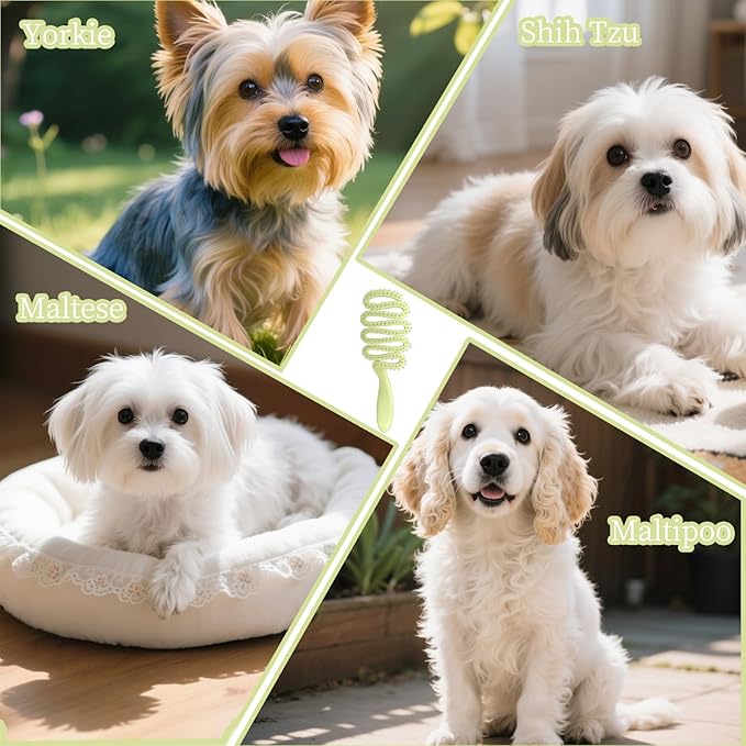 Soft Bristle Dog Brush for Small Breeds - Yorkie, Shih Tzu, Maltese Pomeranian Maltipoo Essential - 3 Color - Puppy Accessories (Green)