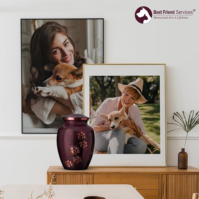 Ottillie Paws Legacy Series Pet Urn for Dogs, Handmade Brass Memorial Cremation Urn (X-Large - Pets up to 170 lbs, Raku, Vertical Brass Paws)