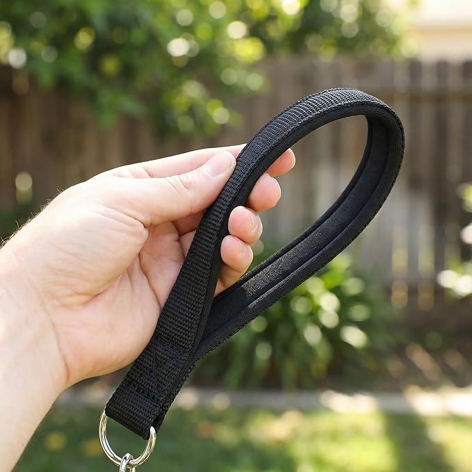 Chew Proof Metal Dog Leash with Built-in P-Chain Collar - 2FT/4FT for Small/Medium/Large Dogs (30-150lb), Anti-Bite Chain Link with Soft Padded Handle, 360° Rotating Clasp Black