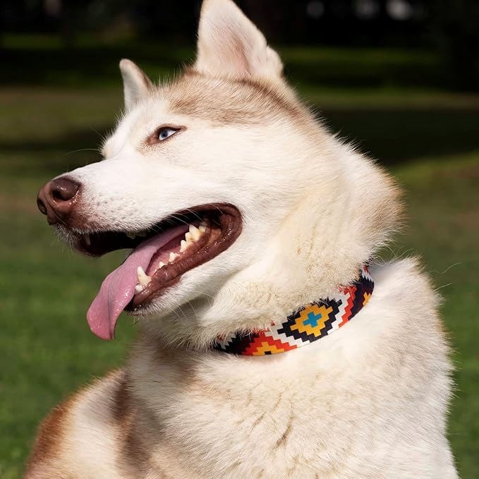CollarDirect Aztec Martingale Collars for Dogs Heavy Duty Tribal Pattern Safety Nylon Training Collar Large Medium Small (Ethnic, XL, Neck Size 19"-24")