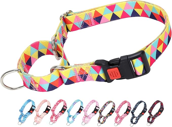 Martingale Collar for Dogs, Colorful Triangle Design Dog Collar for Small Medium Large Dogs, Adjustable Heavy Duty Dog Collars for Training, Walking, Hunting (L)