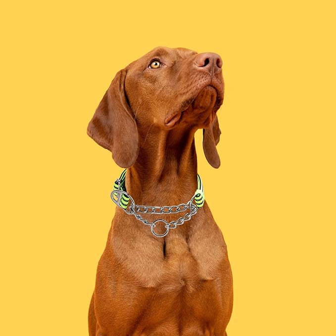 Martingale Dog Collar - Stainless Steel Chain, No Pull Training Collar with Flower Design for Large Medium Small Dogs Green L