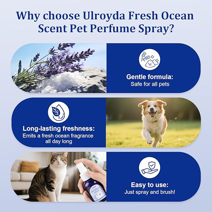 Pet Cologne Spray, Sea Salt & Sage Dog Perfume, Natural Ocean Scent, Deodorizing Grooming for Dogs and Cats, Alcohol-Free, Between Baths Freshener, 2.37 fl oz