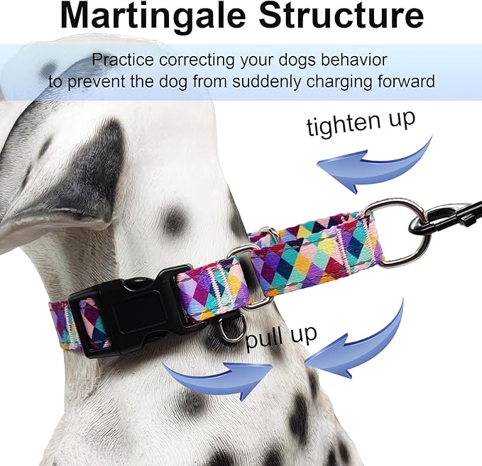 Reflective Martingale Collar for Dogs with Quick Release Buckle No Pull Training Dog Collars (Colorful Geometric, XSmall)