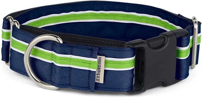 If It Barks - 1.5" Martingale Collar for Dogs - Quick Snap Release Buckle - Adjustable - Nylon - Strong and Comfy - Ideal for Training - Made in USA - Large, Finley