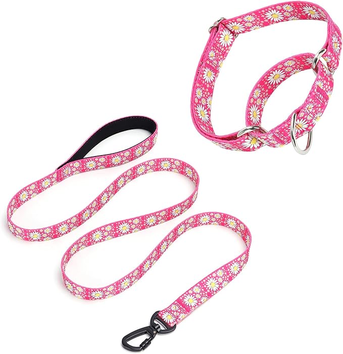 Martingale Collar for Medium Dogs, Girl Dog Collar with Daisy Flowers, Heavy Duty No Pull Dog Collar Floral Design Dog Training Collar, Perfect for Training, Walking, Hunting (Hot Pink + Leash, L)