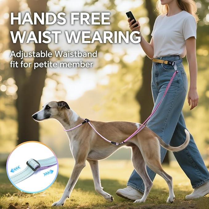QQPETS Adjustable Slip Lead Dog Leash, Hands Free Waist Leash for Dog Walking, Reflective Training Lead with 360° Swivel Anti-Tangle, 4-7 ft Length for All Breeds