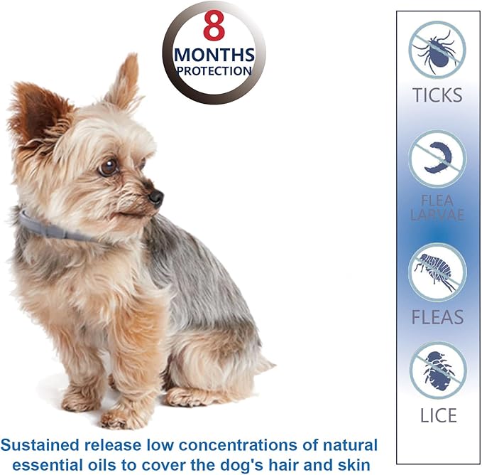 Natural Ingredients Flea Repellent Collar for Small Dogs, Safe and Effective Flea and Tick Repellent, Waterproof, 8 Months Protection Each, Free Comb and Tick Removal Tool, 13.8 Inches, 4-Pack