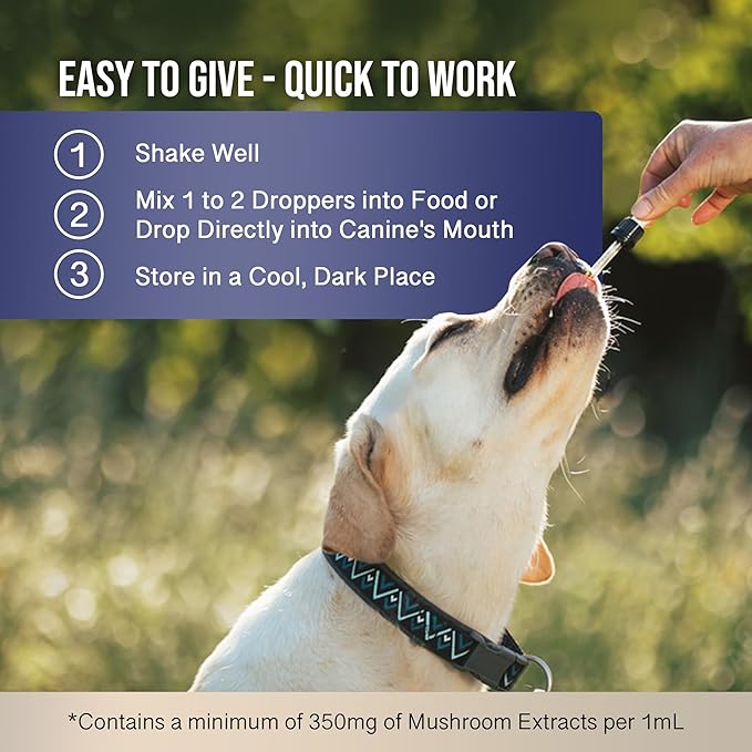 MycoDog Breathe - Respiratory Support Supplement for Dogs - Breathing Comfort & Airway Health - French Bulldogs, Pugs, & Flat-Faced Breeds - Natural Mushroom and Ashwagandha Drops