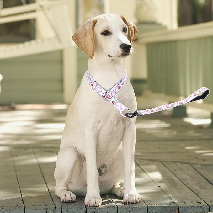 Training Dog Collar - No Pull Martingale, Slip With Slidable Stop Ring for Small, Medium, Large Dogs (M, White1)
