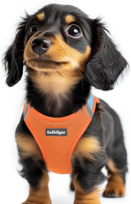 rabbitgoo Small Dog Harness, Step-in Soft Mesh Puppy Vest with Safety Buckle, Breathable Reflective Pet Harness for Extra Small Dogs, Blue & Orange XXS