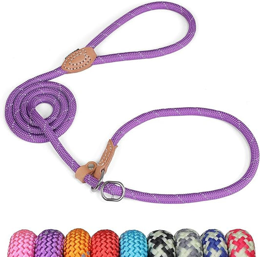 Grand Line Slip Lead Dog Leash - No Pull Training Dog Lead with 5ft Reflective Rope, Durable & Collar-Free for Small, Medium, Large Dogs and Puppies (Purple,S)