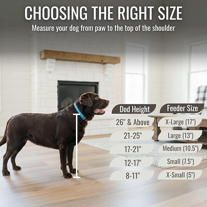 GTW Elevated 3 Bowl Dog Feeding Station - Customized Triple Stand for Large Dogs - Includes Storage & Stainless Steel Bowls (Large, Brown)