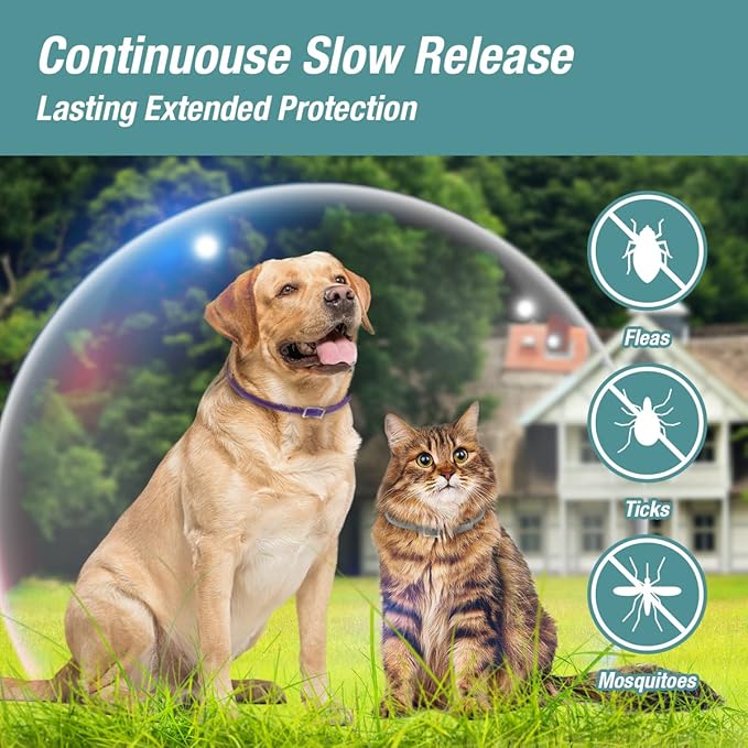 ZingZap Flea & Tick Collar 2-Pack Blue, Protects from Biting Insects, Adjustable Fits Both Dogs & Cats, Built-in Plant Based Formula, Slow-Release Lasting Protection, Waterproof