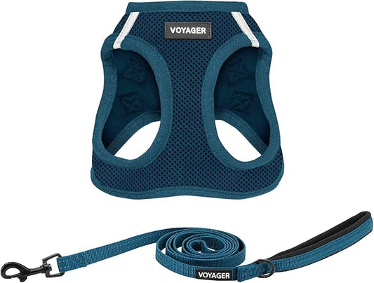 Best Pet Supplies Voyager Step-in Air All Weather Mesh Harness and Reflective Dog 5ft Leash Combo with Neoprene Handle, for Small, Medium and Large Breed Puppies - Set (Blue), Medium