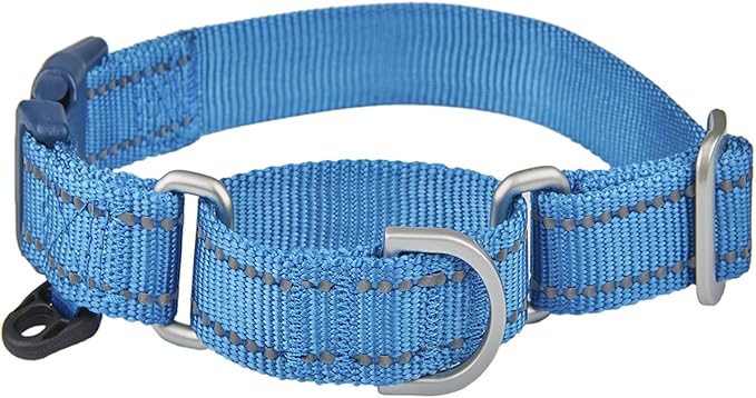 Martingale Collar Reflective Nylon Collar with Safety Quick Release Buckle,Escape-Proof Anti-Pull for Small Medium and Heavy Duty Dogs(Blue,XS)