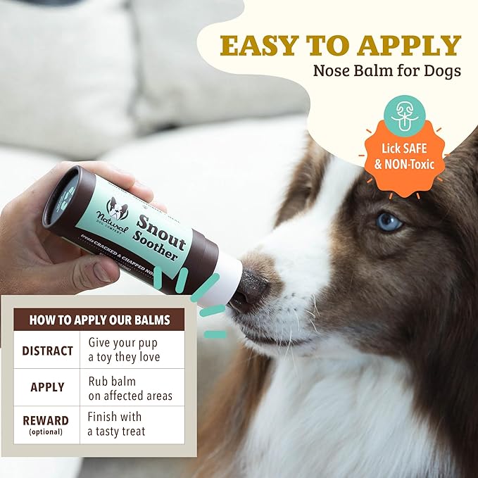 Natural Dog Company Snout Soother Balm – Dog Nose Balm for Dry Cracked Snouts, Moisturizing Winter Nose Care with Coconut Oil & Shea Butter, Lick Safe Dog Snout Balm for All Breeds, 2 oz Stick