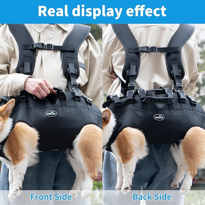 Dog Lift Harness, Pet Support & Rehabilitation Sling Lift Adjustable Padded Breathable Straps Dog Lift Harness for Dogs, Disabled, Joint Injuries, Arthritis, Loss of Stability Dogs Walk(16.5-33LBS)