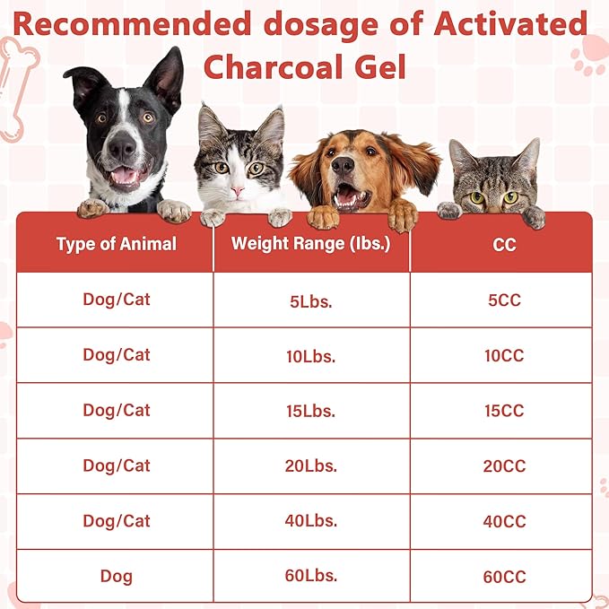 Activated Charcoal Paste for Dogs and Cats (60ml) - Digestive Supplement, Daily Oral Care Paste for Pets