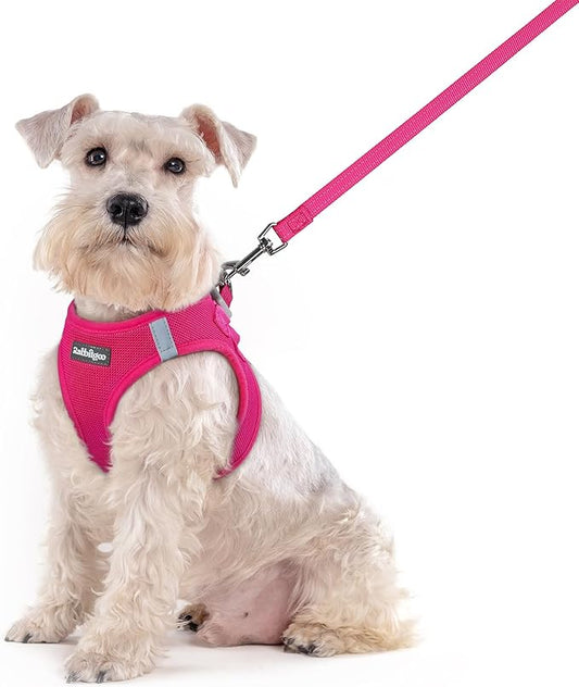 rabbitgoo Dog Harness Medium Sized and Leash Set, Step in Soft Light Puppy Vest, Breathable Mesh Pet Harness, Reflective for Safe Easy Walking, Rosa Red XXL