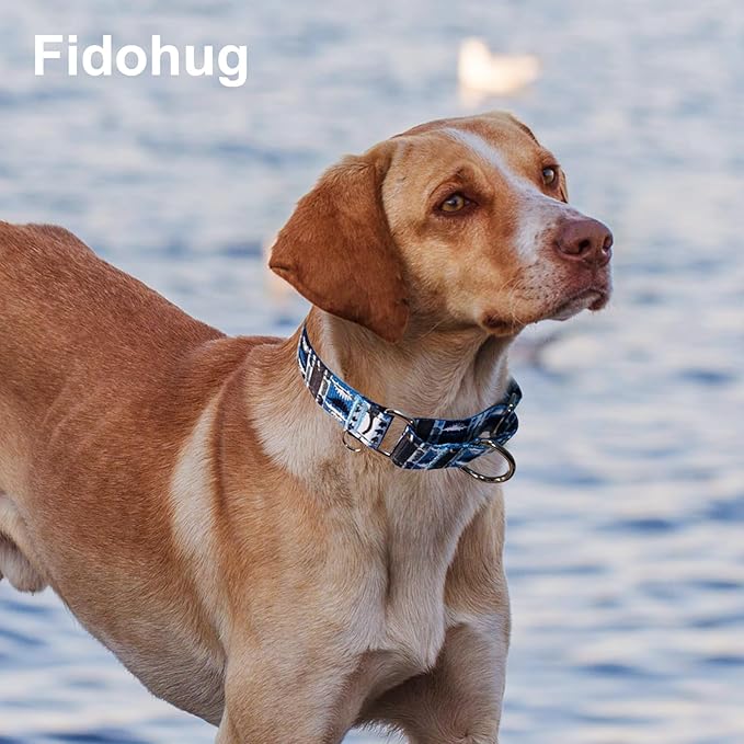 Reflective Martingale Collar for Dogs Nylon Training Collar with No Buckle, No Pull Escape Proof Dog Collar for Small Dogs（Blue Dinosaur，S）